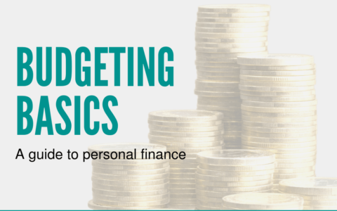 Green Grey Budgeting Money Coins Finance Personal Presentation